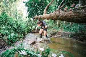 BIB: 
                            <button type="button" onclick="openModal(25518471)" class="btn btn-primary btn-sm float-right btn-popup" data-toggle="modal" data-target=".modal-high-quality">
                        <i class="fas fa-shopping-cart"></i> Add to Cart
                    </button>
                                            <button type="button" onclick="isThisMe(25518471, true)" class="btn btn-success btn-sm float-right btn-popup btn-isme hidden" data-toggle="tooltip" data-placement="bottom" title="นี่คือรูปของคุณใช่ไหม คลิกที่นี่เพื่อเอาเข้าอัลบั้ม">
                        <i class="fas fa-plus"></i> Add to album
                    </button>
                    <button type="button" onclick="isThisMe(25518471, false)" class="btn btn-warning btn-sm float-right btn-popup btn-isnotme hidden">
                        <i class="fas fa-ban"></i> Remove from album
                    </button>